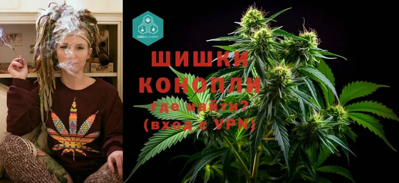 продажа наркотиков  Богородицк  Конопля SATIVA & INDICA 